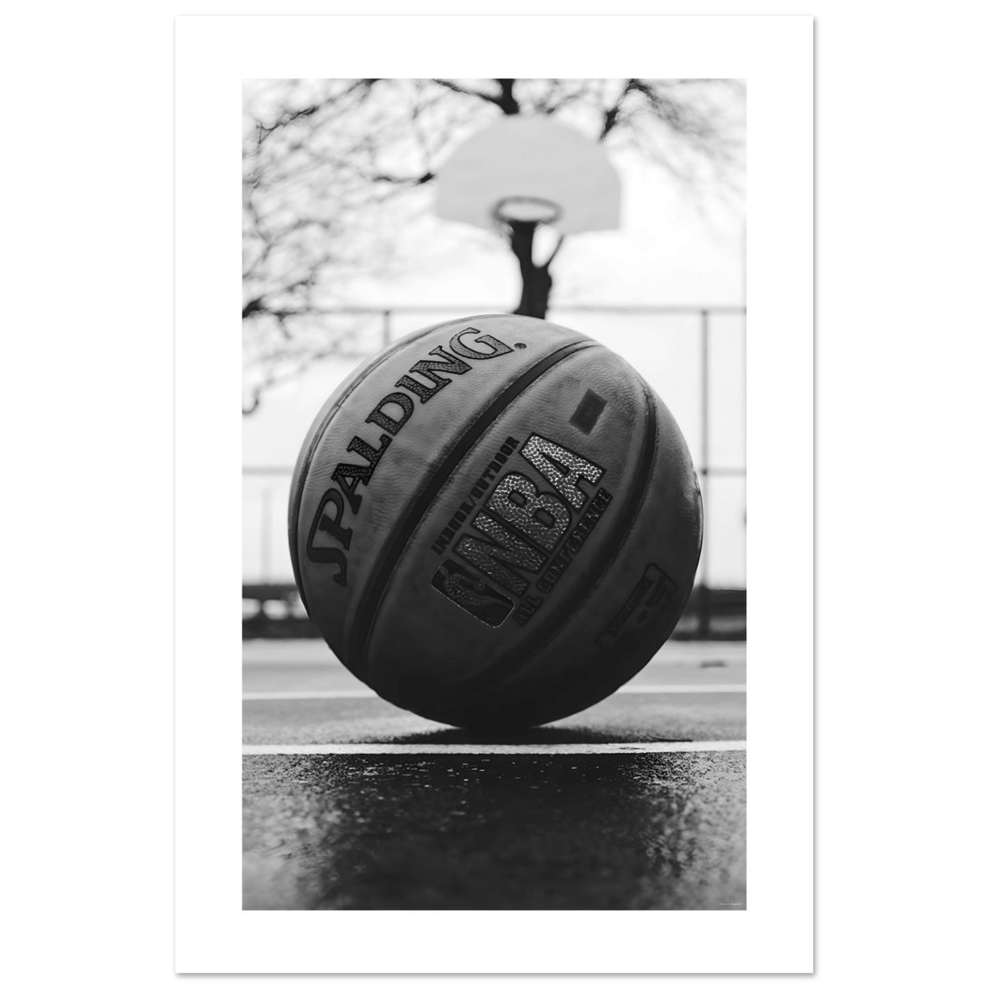 Basketball Sports Image in Black + White PRINTED Poster