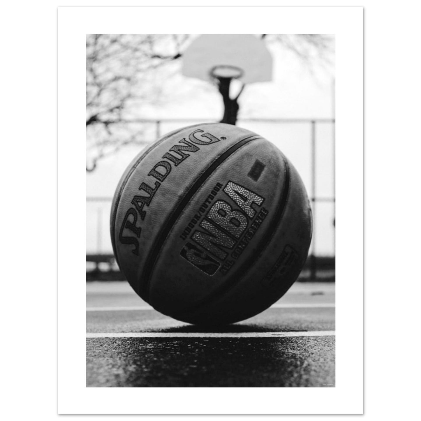 Basketball Sports Image in Black + White PRINTED Poster