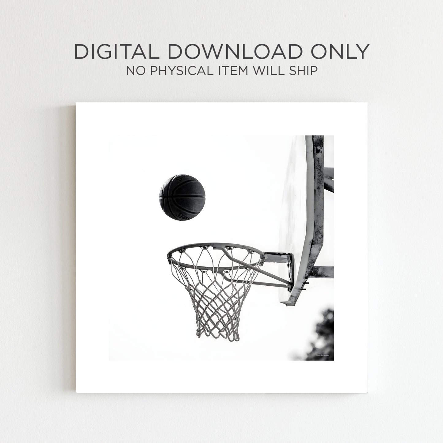 Basketball Hoop Poster in Black & White SQUARE Instant Download