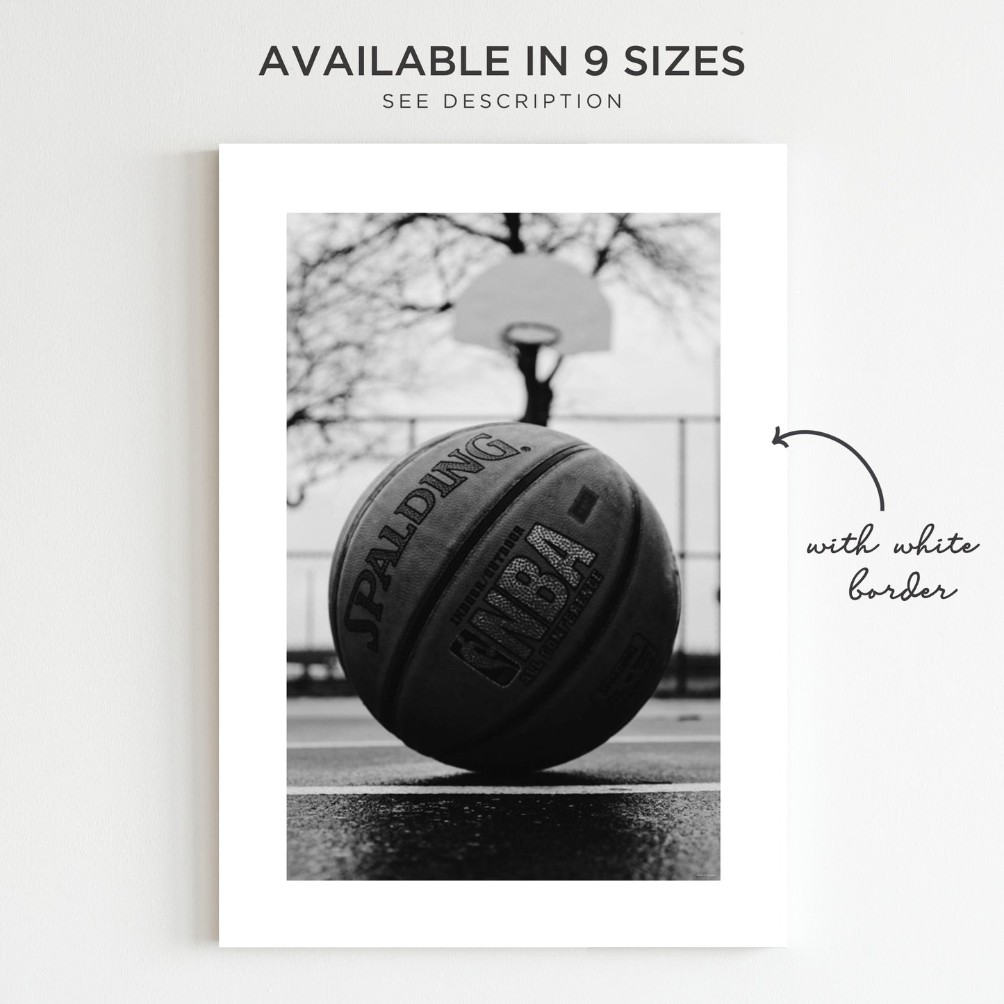 Basketball Sports Image in Black + White PRINTED Poster