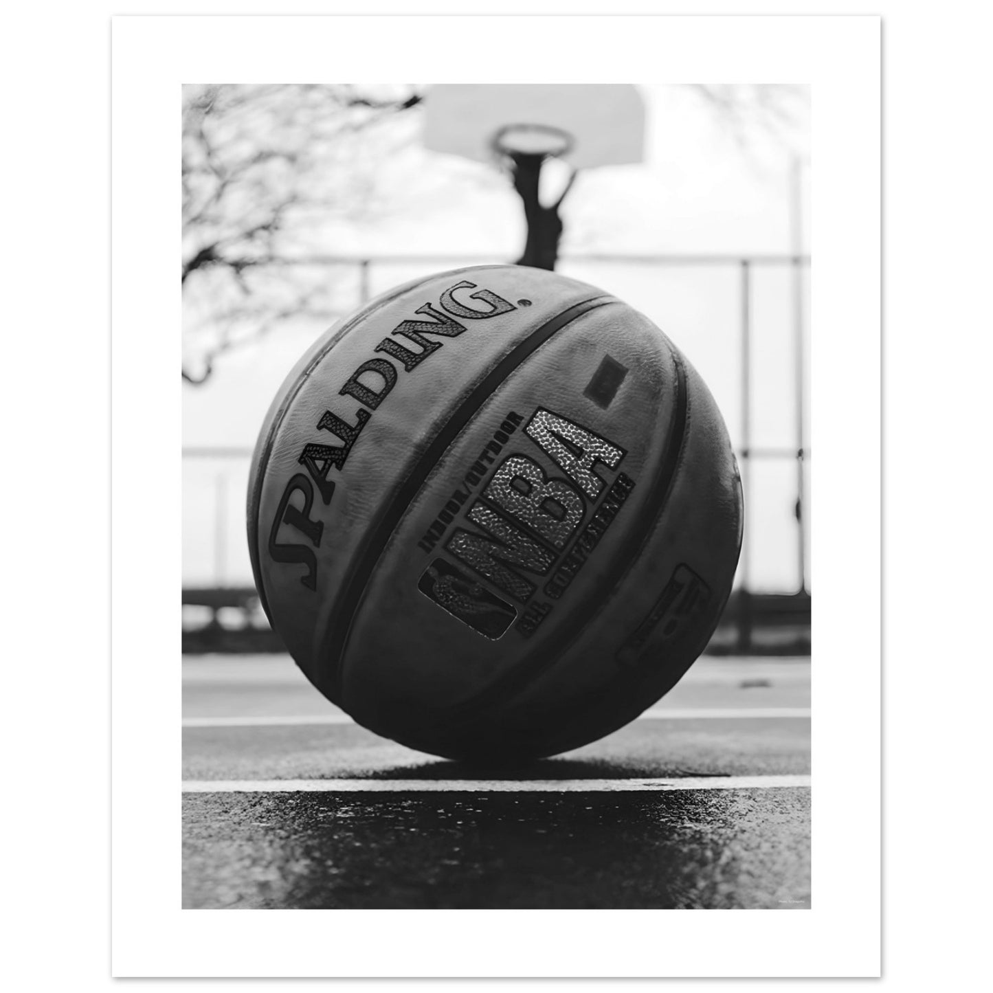 Basketball Sports Image in Black + White PRINTED Poster