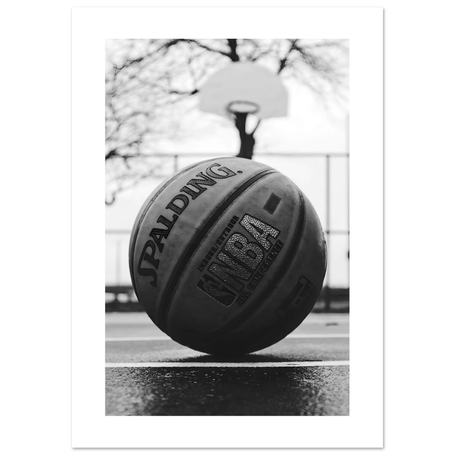 Basketball Sports Image in Black + White PRINTED Poster