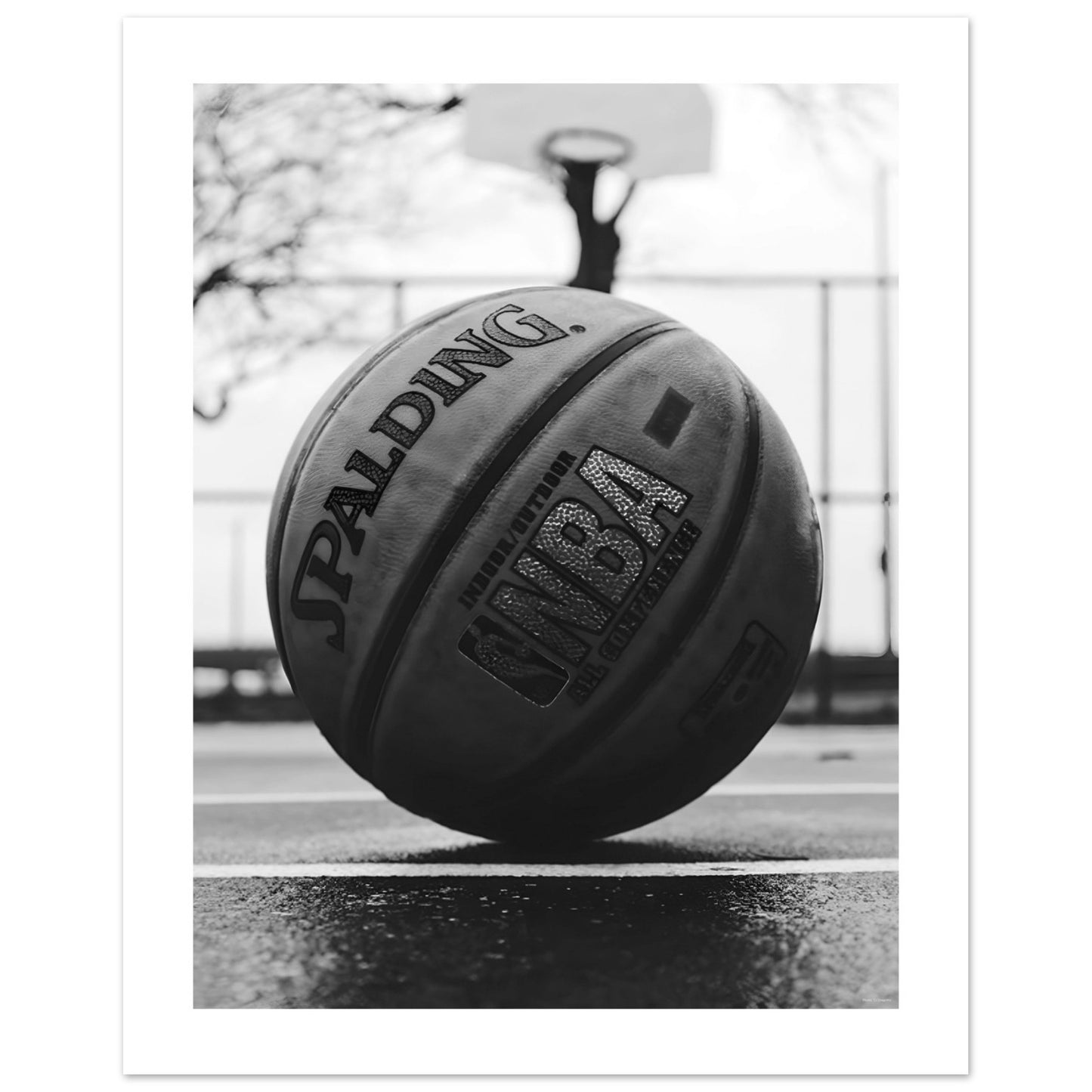 Basketball Sports Image in Black + White PRINTED Poster